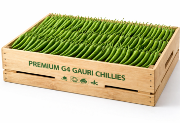 G4 Chilli